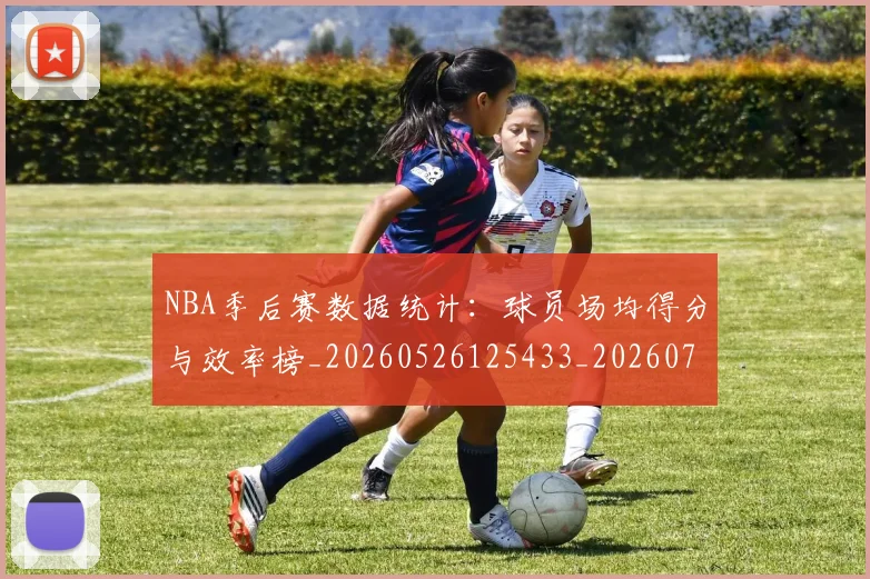 NBA季后赛数据统计：球员场均得分与效率榜_20260526125433_20260702164324