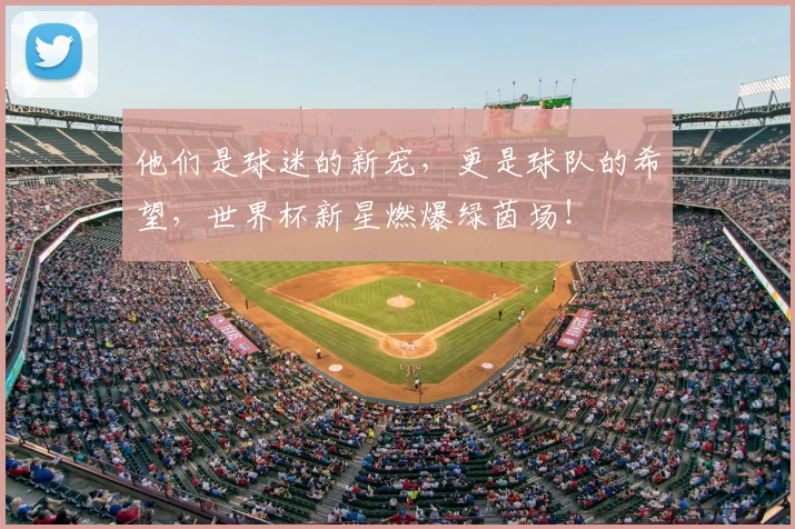 他们是球迷的新宠,更是球队的希望,世界杯新星燃爆绿茵场!