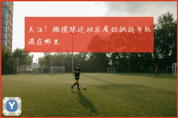 关注！橄榄球运动发展的挑战与机遇在哪里